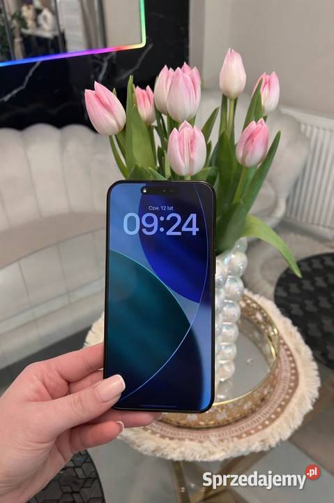 iPhone 15 Pro 256GB Czarny Na gwarancji Stan Nysa