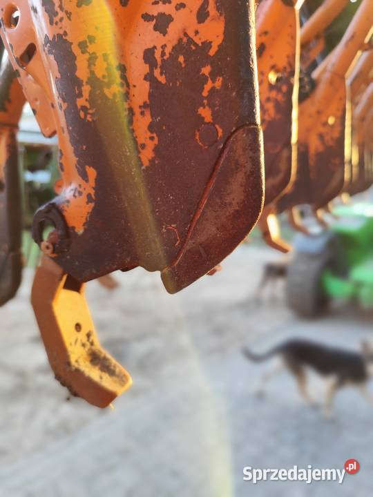 Siewnik amazone d7 d8