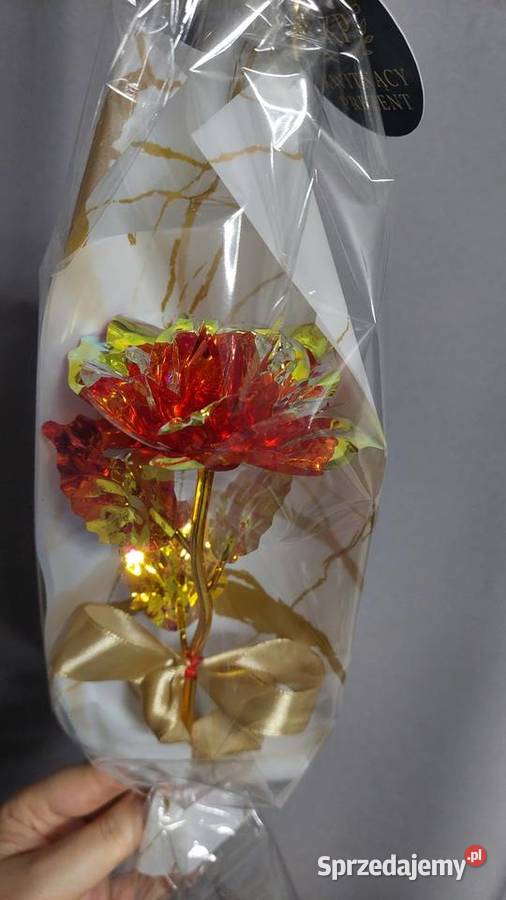 Róża na Dzień Kobiet Rybnik