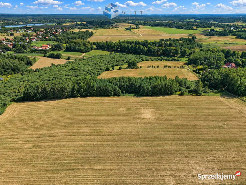 sprzedaży gruntu Zwierzewo 3124m2