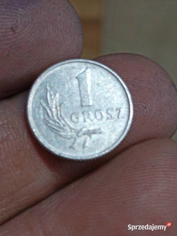 Sprzedam monete 1 grosz 1949 r bez znaku mennicy lubelskie Chełm