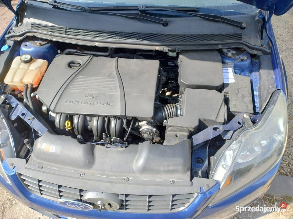 Ford Focus Samochody osobowe Częstochowa
