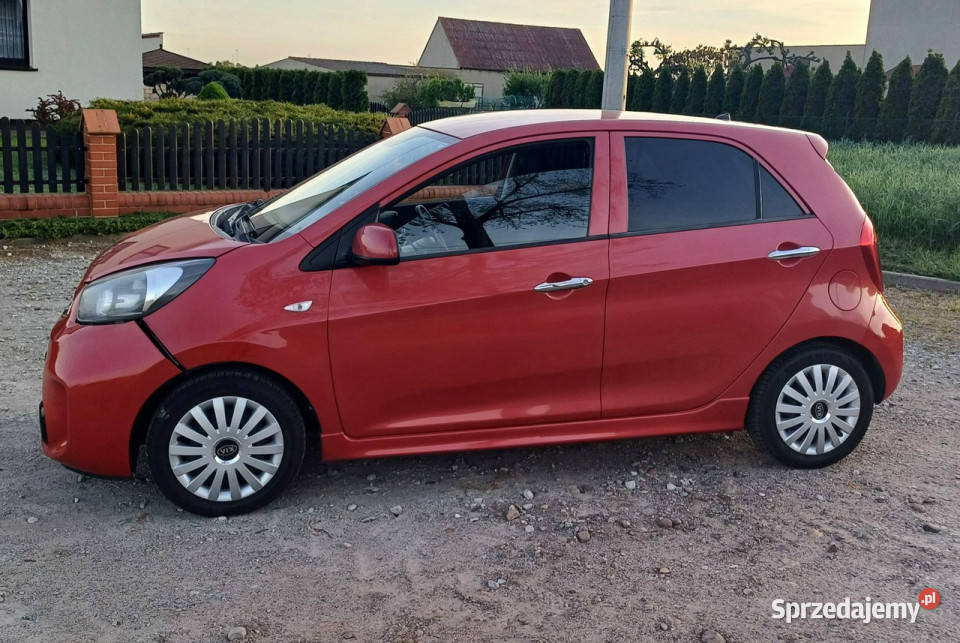 Kia Picanto 10 Benzyna Klimatronic II 2011 komputer pokładowy Suchorzew