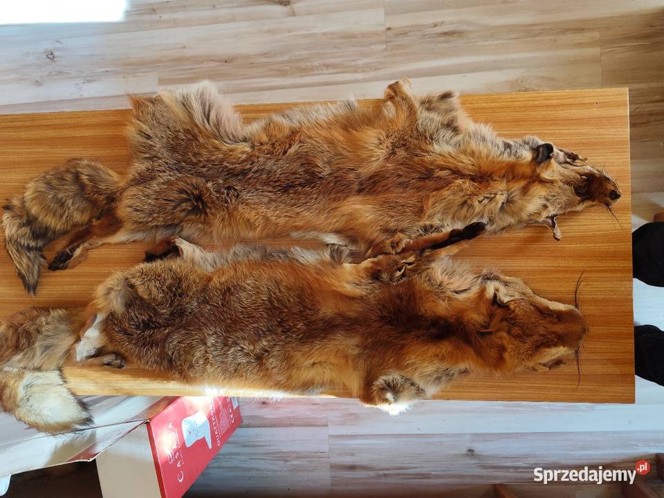 Skóry z llisa sprzedam