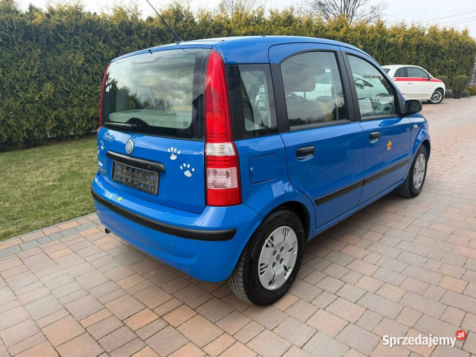 Fiat Panda Klimatyzacja bezwypadkowy II 20032012 Motoryzacja podkarpackie Rzeszów