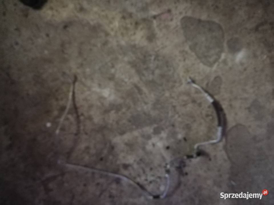 przewody rurka klimy kia sportage silnik 16 osobowe Wieluń