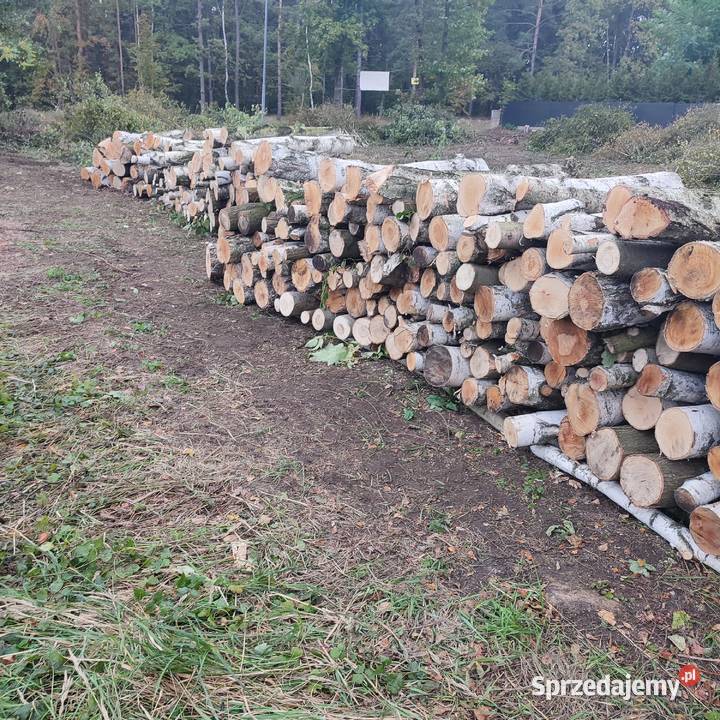 sprzedam drewno brzoza i dąb w wałkach 12m Tarnowskie Góry