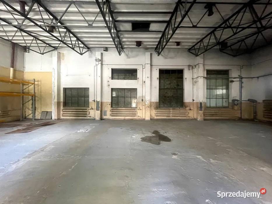 MAGAZYN Wynajem Warszawa