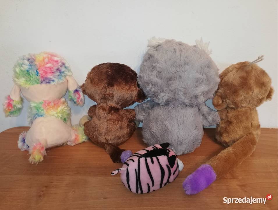 Ty Beanie Booszestaw 5 sztuk Stan idealny Warszawa sprzedam