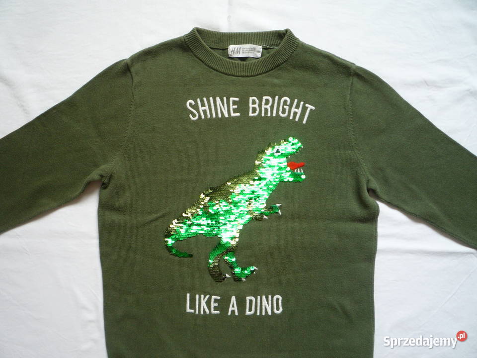 HM 122 Zielony sweter Bluzka Dinozaur Szczecin sprzedam