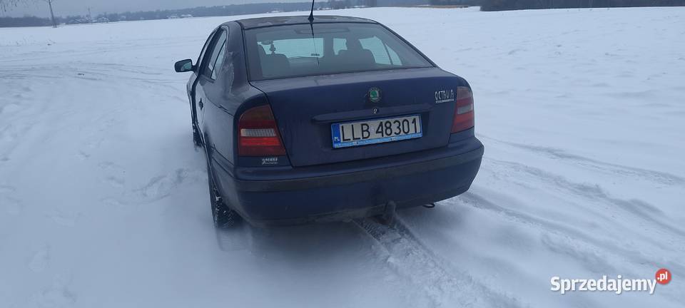 Skoda Octavia Ostrów Lubelski