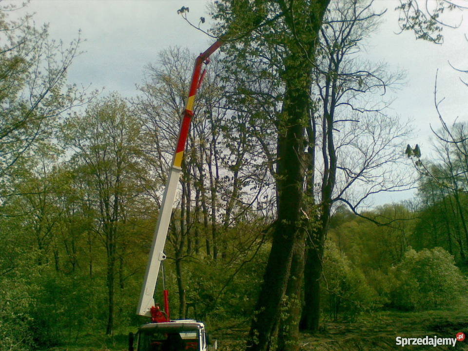 Usługi dźwigowe dźwigi usługi dźwigiem podnośnik Tomaszów Lubelski