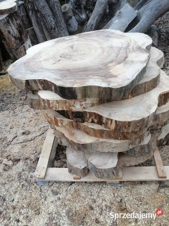 Monolit 120x80 wiąz dąb jesion klon topola