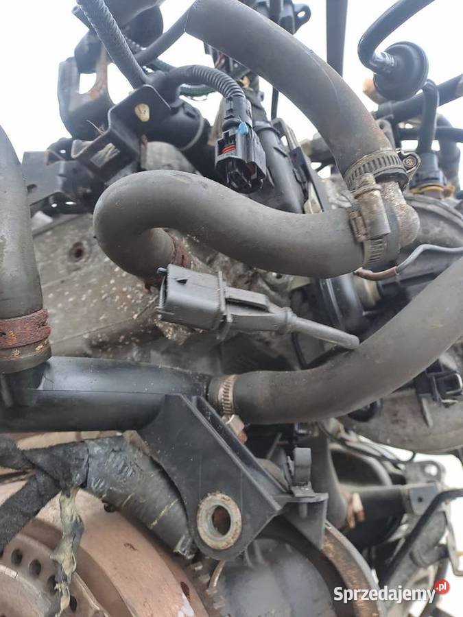 Opel Astra Vectra Zafira 18 16V 125 silnik