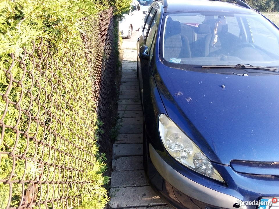 Peugoet 307 uszkodzony silnik