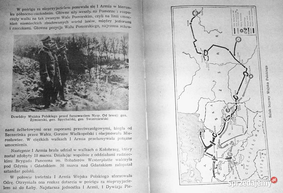 Ryrgrgrgrh Chełm sprzedam