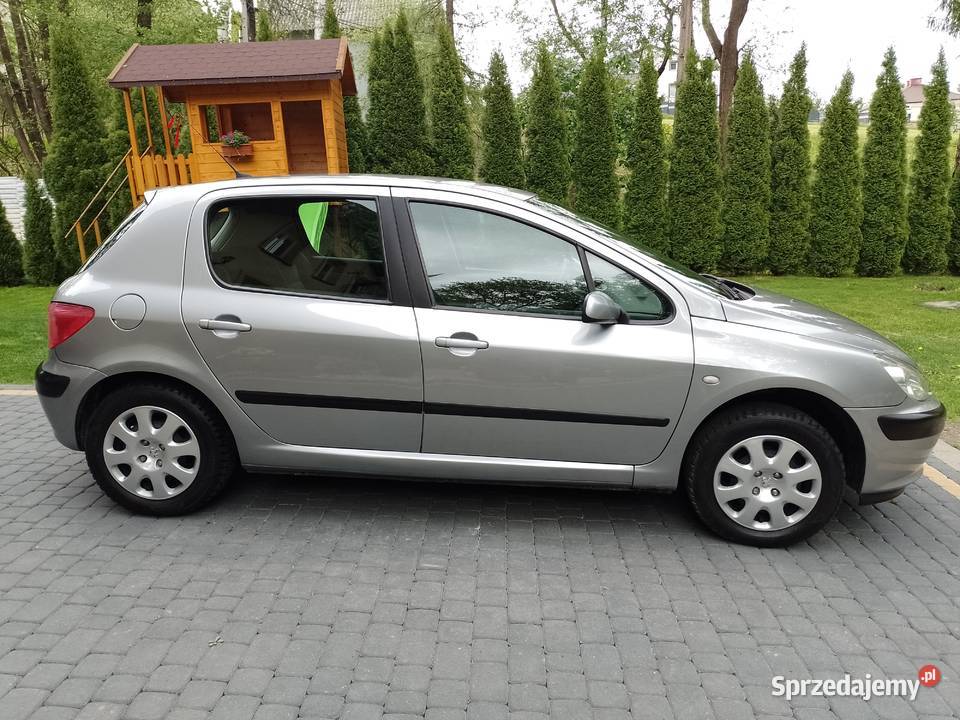 Peugeot 307 2005r Benzynka 1400 16V podkarpackie Jasło