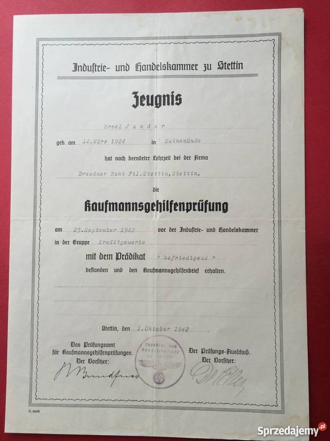 42 Dyplom kupiecki zachodniopomorskie Szczecin sprzedam