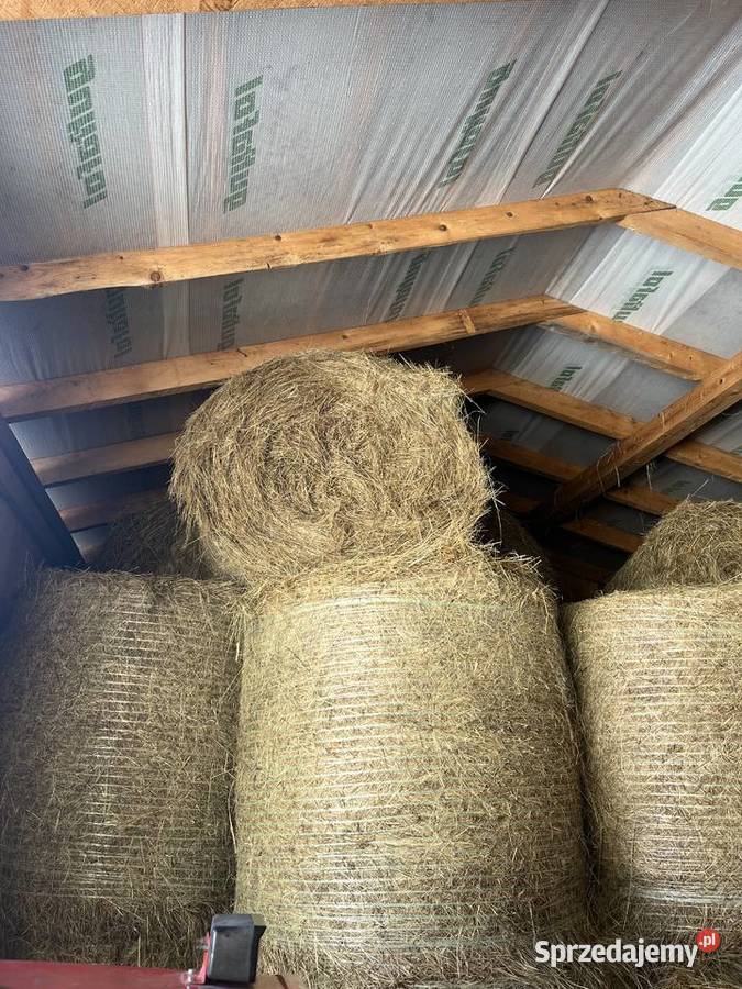 Sprzedam bele siana 120x120 pierwszy i drugi małopolskie Ptaszkowa