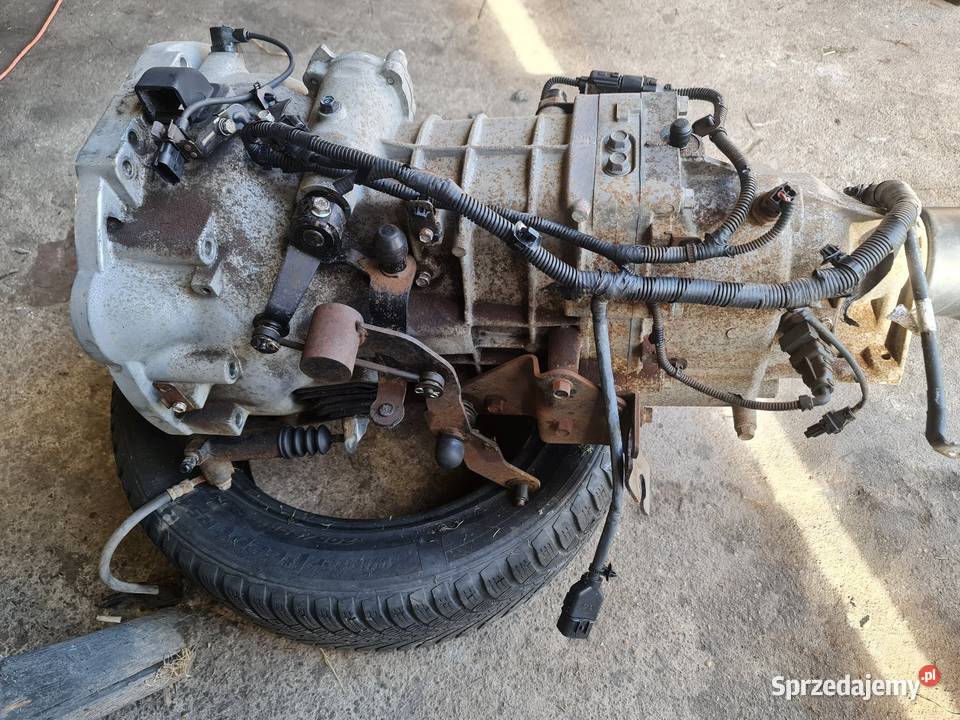 Skrzynia biegów 5 biegowa do hyundai h1 25 crdi Lubliniec