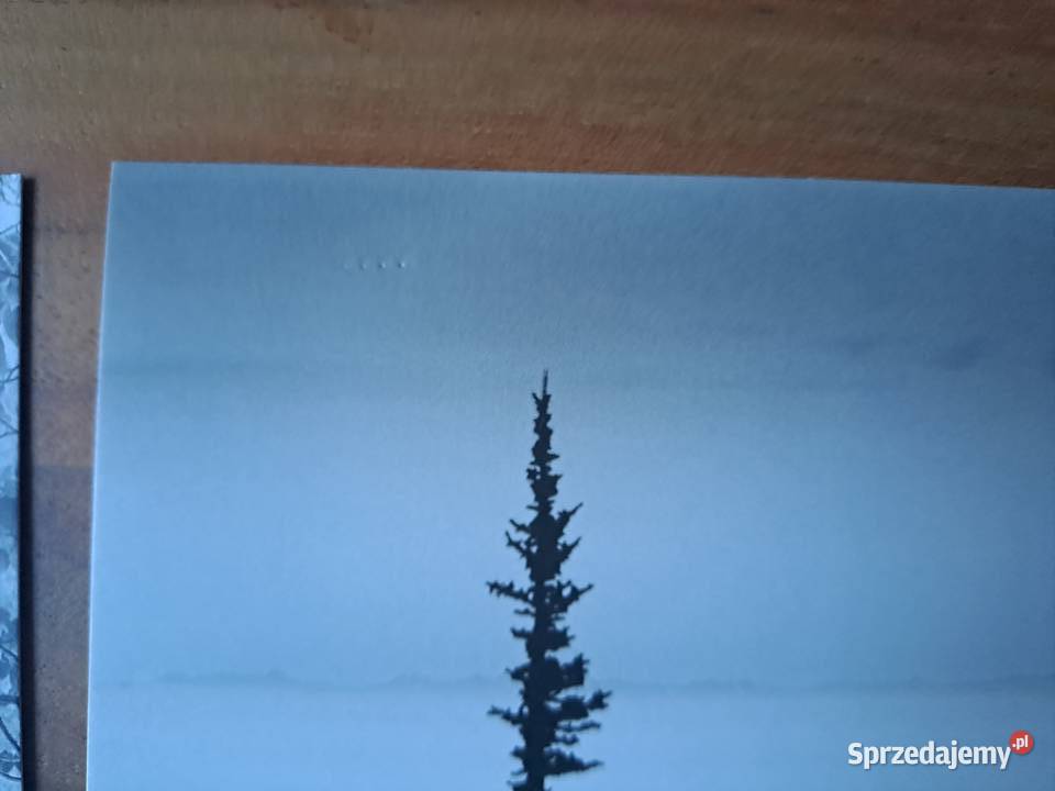 IKEA 5x kartka kartki pocztówki Monte Nagler