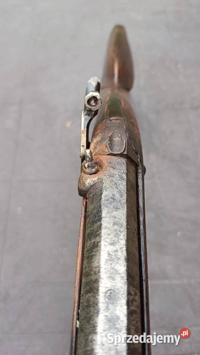 Karabin czarnoprochowa Francja XIX w Pielgrzymka