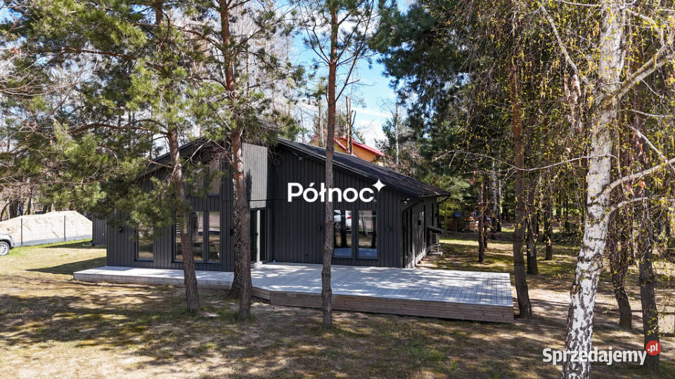 Skandynawski piękny dom wśród drzew Staw