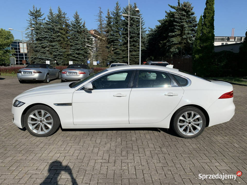 Jaguar XF Jaguar XF 20d 241 X260 2015 Kraków