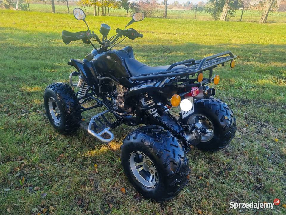 Quad EGL LYDA 250cc 41R Ciecz Duża Rama nieuszkodzony Kruszwica