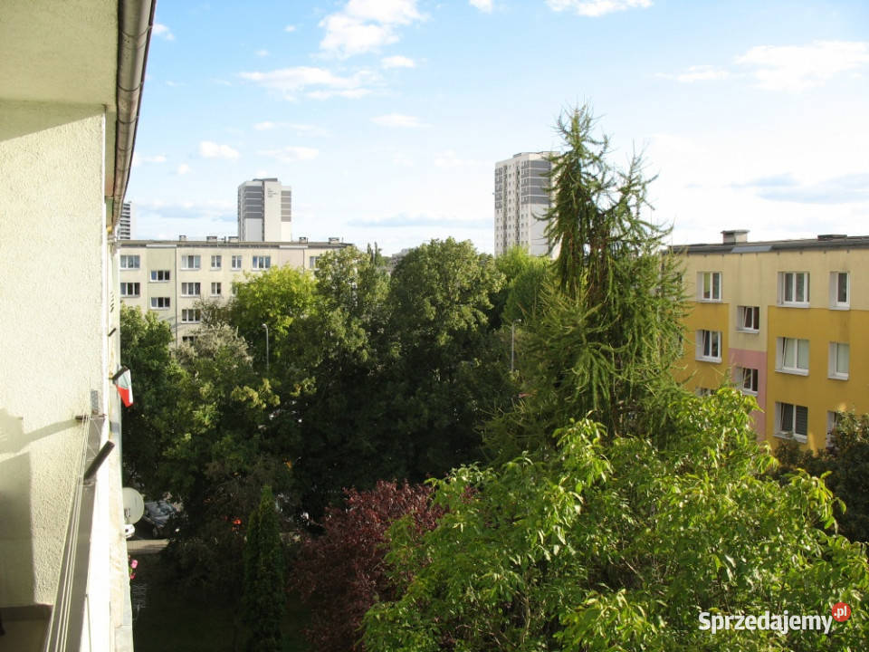 Poznań Rataje Sprzedam bezposrednio mieszkanie Piętro 4