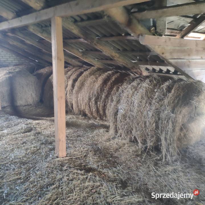 Sprzedam Siano Czołki