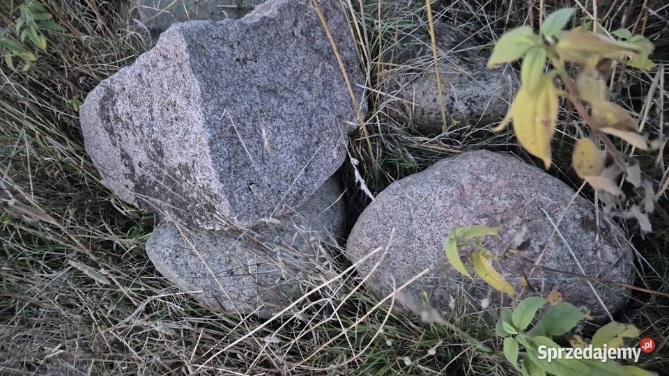 Kamień polny Skrybicze