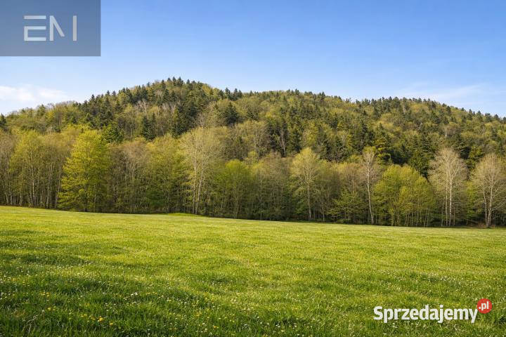 Działka 8800m2 Huta Gogołowska 8800m2 podkarpackie