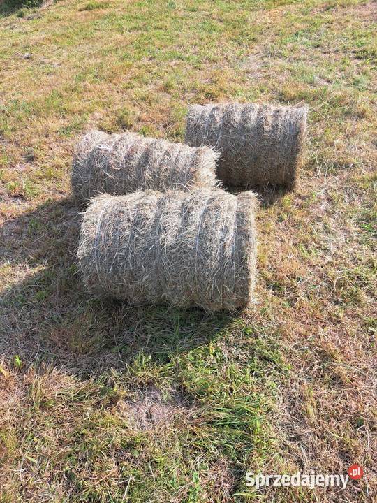 Sprzedam siano bale 50x70 Karmy i pasze Hodowla i gospodarstwo Tymbark