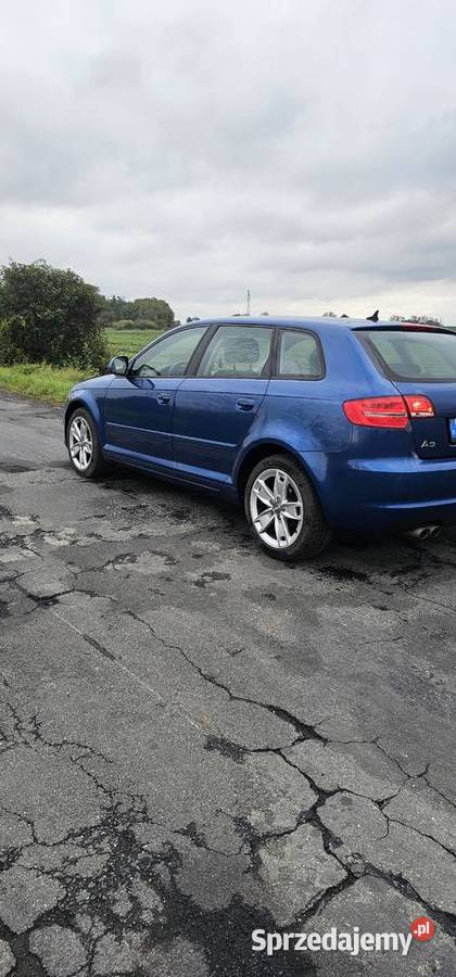 Audi A3 8p 20 TDI wielofunkcyjna kierownica dolnośląskie Strzelin