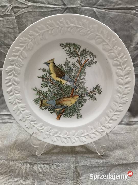 Talerz obiadowy birds America ilustra AUDUBONA Zamość