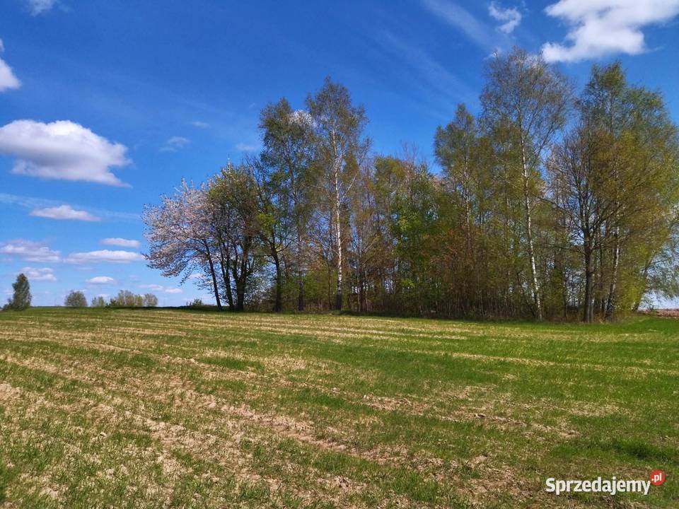 Działka budowlana na mazurach budowlana Łączno
