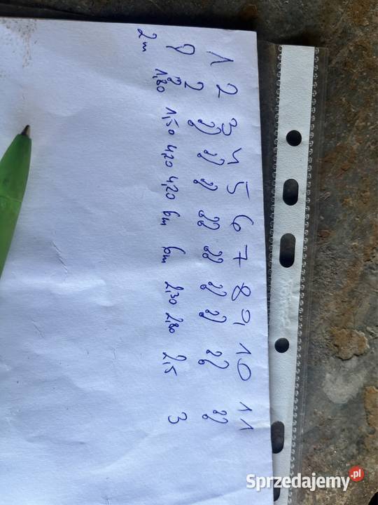 Zawiesie łańcuchowe grzechotka kujawsko-pomorskie sprzedam