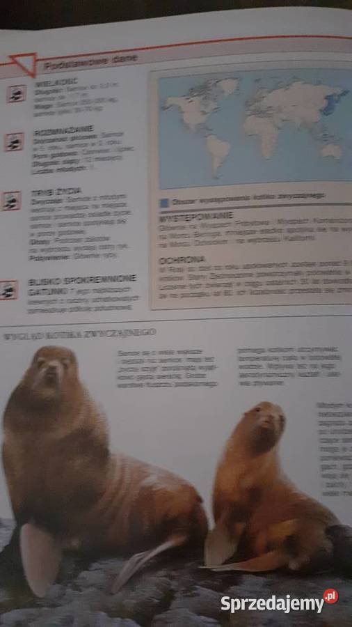 Encyklopedia zwierząt A do Z Szczecin