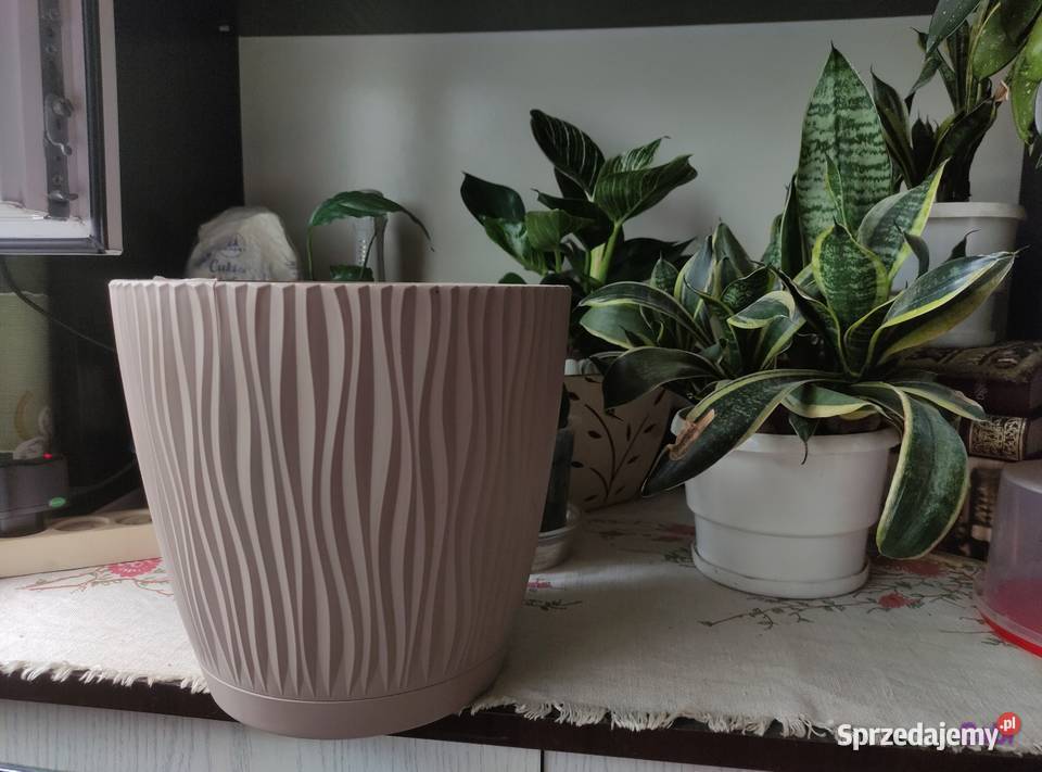 Duża donica 24 Łódź