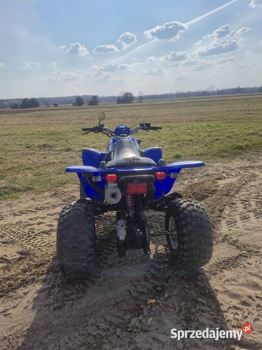 Kymco KXR 250 Stoczek Łukowski