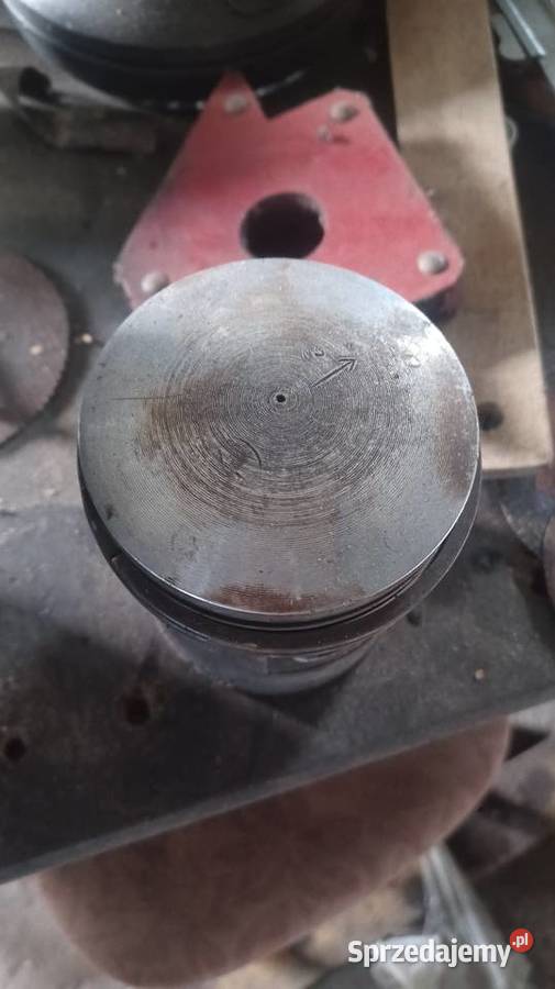 Cylinder dzik dzik 21 Pozostałe sprzedam