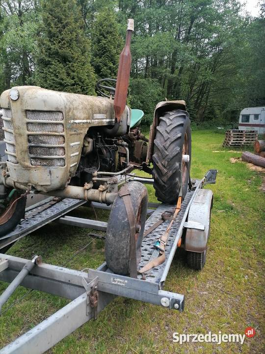 Zetor 3011 kompletny Jelenia Góra
