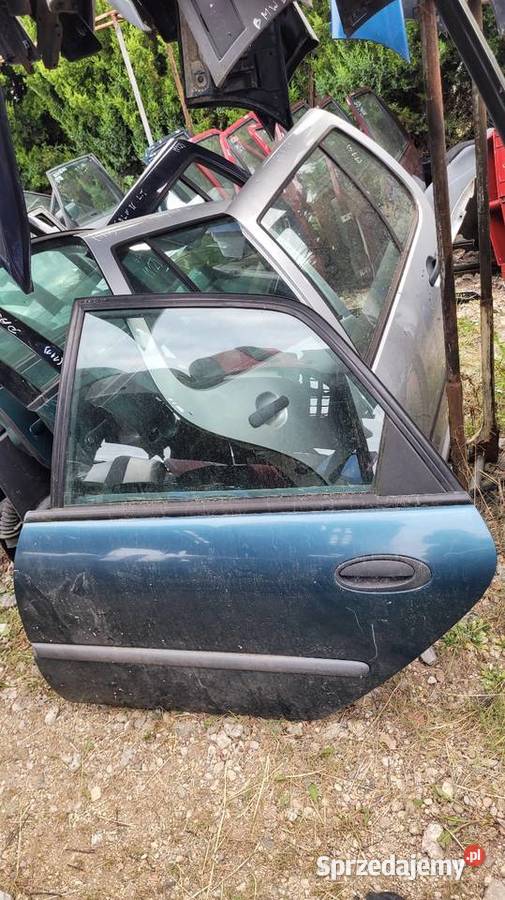 Drzwi Renault Laguna I mazowieckie Łagów