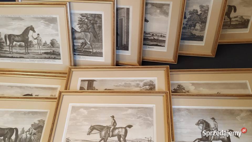 12 grafik z roku 1773 Anglia autor Shaw i inni