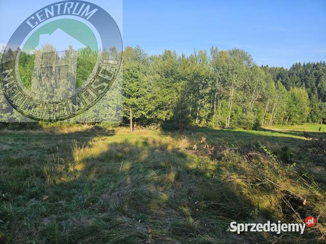sprzedaży działki Mystków 9500m2 budowlana
