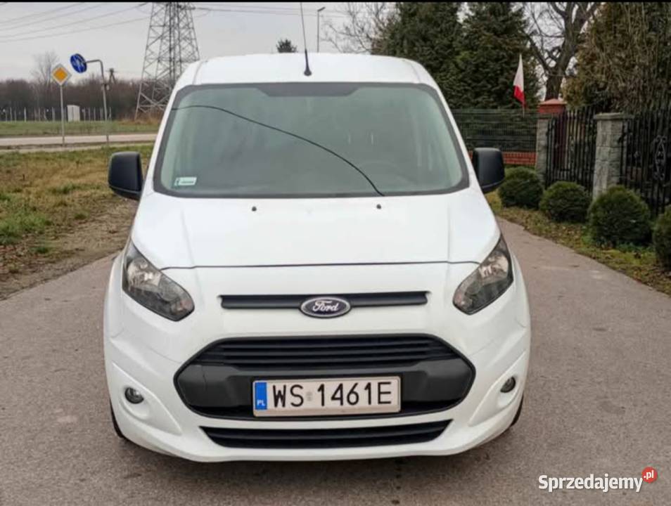 Ford Transit Connect Strusy