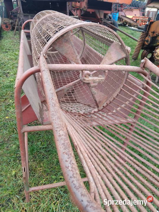 sortownik do ziemniaków Piątek