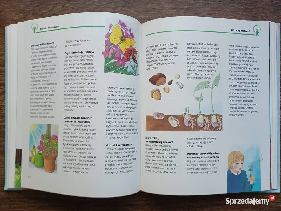 Czytam i wiem pytania i odpowiedzi Helga Hofmann Rok wydania 1999 Poradniki, albumy i reportaże sprzedam