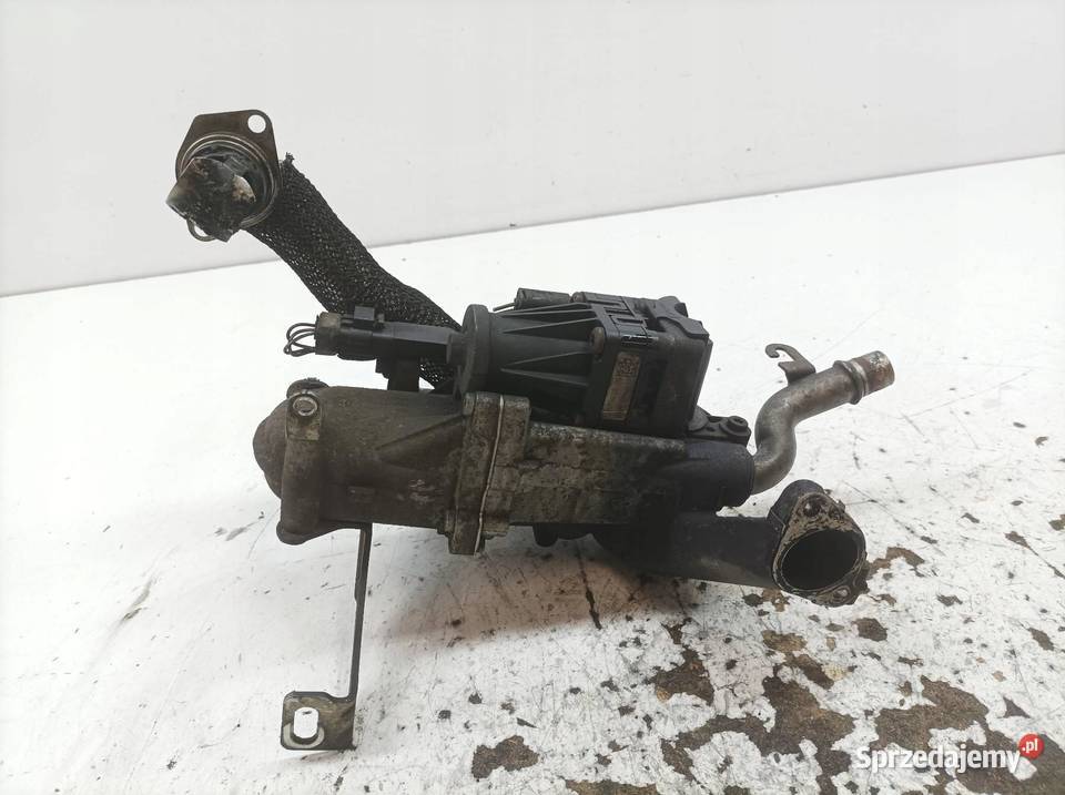 ZAWÓR EGR 16 TDCI Ford Fiesta Mk7 20082016